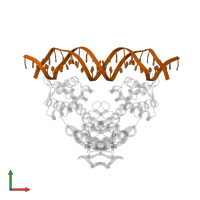 DNA (5'-D(*TP*AP*GP*AP*TP*TP*GP*TP*TP*AP*AP*TP*CP*GP*AP*TP*TP*AP*AP*CP*AP*AP*TP*C)-3') in PDB entry 3wgi, assembly 1, front view.