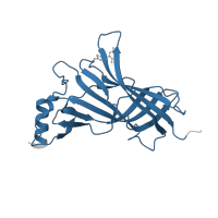 The deposited structure of PDB entry 3wti contains 5 copies of Pfam domain PF02931 (Neurotransmitter-gated ion-channel ligand binding domain) in Acetylcholine-binding protein. Showing 1 copy in chain B.