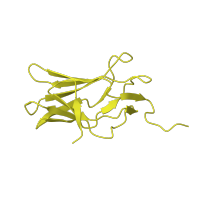 The deposited structure of PDB entry 3wtv contains 2 copies of CATH domain 2.60.40.720 (Immunoglobulin-like) in Runt-related transcription factor 1. Showing 1 copy in chain A.