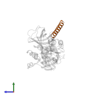 Large ribosomal subunit protein P1 in PDB entry 3wy9, assembly 1, side view.