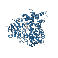 The deposited structure of PDB entry 3zg3 contains 1 copy of Pfam domain PF00067 (Cytochrome P450) in Sterol 14-alpha demethylase. Showing 1 copy in chain A.