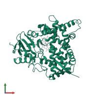 Sterol 14-alpha demethylase in PDB entry 3zg3, assembly 1, front view.