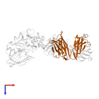 FAB HEAVY CHAIN in PDB entry 3zkn, assembly 1, top view.