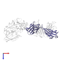 FAB LIGHT CHAIN in PDB entry 3zkn, assembly 1, top view.