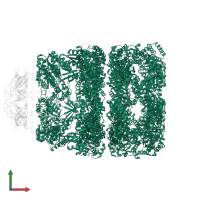 Chaperonin GroEL in PDB entry 3zq0, assembly 1, front view.