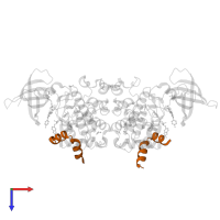 Proto-oncogene FRAT1 in PDB entry 3zrm, assembly 1, top view.