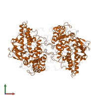 Myeloperoxidase heavy chain in PDB entry 3zs0, assembly 1, front view.