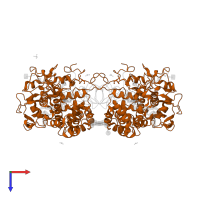 Myeloperoxidase heavy chain in PDB entry 3zs0, assembly 1, top view.