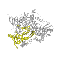 The deposited structure of PDB entry 3zvv contains 1 copy of Pfam domain PF00454 (Phosphatidylinositol 3- and 4-kinase) in Phosphatidylinositol 4,5-bisphosphate 3-kinase catalytic subunit gamma isoform. Showing 1 copy in chain A.