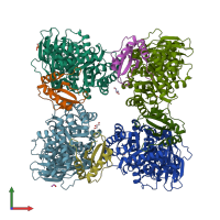 PDB entry 3zxw coloured by chain, front view.