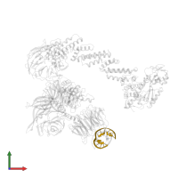 12 BP DNA DUPLEX in PDB entry 4a0l, assembly 1, front view.