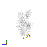 12 BP DNA DUPLEX in PDB entry 4a0l, assembly 1, side view.