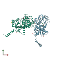 PDB entry 4a8h coloured by chain, front view.