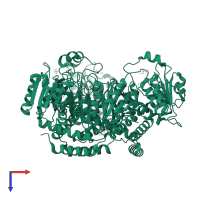 Putrescine carbamoyltransferase in PDB entry 4a8h, assembly 2, top view.