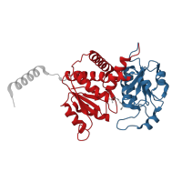 The deposited structure of PDB entry 4a8p contains 12 copies of CATH domain 3.40.50.1370 (Rossmann fold) in Putrescine carbamoyltransferase. Showing 2 copies in chain A.