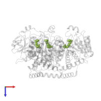 N-(PHOSPHONOACETYL)-L-ORNITHINE in PDB entry 4a8p, assembly 1, top view.