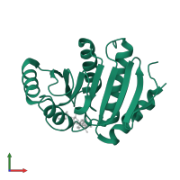 Protein mono-ADP-ribosyltransferase PARP14 in PDB entry 4abk, assembly 1, front view.