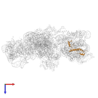 Small ribosomal subunit protein uS14 in PDB entry 4adv, assembly 1, top view.