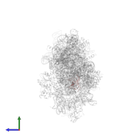 Small ribosomal subunit protein uS17 in PDB entry 4adv, assembly 1, side view.