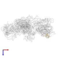 Small ribosomal subunit protein uS19 in PDB entry 4adv, assembly 1, top view.