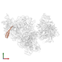 Small ribosomal subunit protein bS20 in PDB entry 4adv, assembly 1, front view.