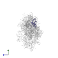 Small ribosomal subunit protein uS3 in PDB entry 4adv, assembly 1, side view.