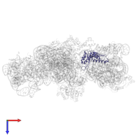 Small ribosomal subunit protein uS3 in PDB entry 4adv, assembly 1, top view.