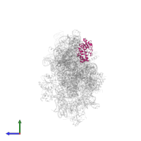 Small ribosomal subunit protein uS4 in PDB entry 4adv, assembly 1, side view.