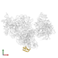 Small ribosomal subunit protein bS6 in PDB entry 4adv, assembly 1, front view.