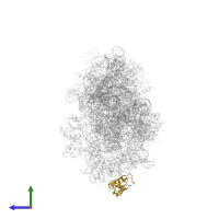 Small ribosomal subunit protein bS6 in PDB entry 4adv, assembly 1, side view.