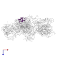 Small ribosomal subunit protein uS8 in PDB entry 4adv, assembly 1, top view.