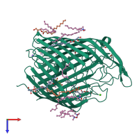 Monomeric assembly 1 of PDB entry 4afk coloured by chemically distinct molecules, top view.