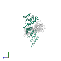 Kelch-like protein 11 in PDB entry 4ap2, assembly 1, side view.