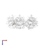 N-acetyl-alpha-neuraminic acid in PDB entry 4avv, assembly 1, top view.