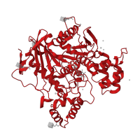 The deposited structure of PDB entry 4b0p contains 1 copy of CATH domain 3.40.50.1820 (Rossmann fold) in Cholinesterase. Showing 1 copy in chain A.