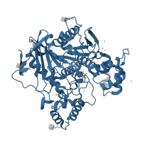 The deposited structure of PDB entry 4b0p contains 1 copy of Pfam domain PF00135 (Carboxylesterase family) in Cholinesterase. Showing 1 copy in chain A.