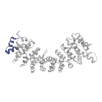 The deposited structure of PDB entry 4b18 contains 1 copy of Pfam domain PF01749 (Importin beta binding domain) in Importin subunit alpha-5, N-terminally processed. Showing 1 copy in chain A.