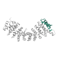 The deposited structure of PDB entry 4b18 contains 1 copy of Pfam domain PF16186 (Atypical Arm repeat ) in Importin subunit alpha-5, N-terminally processed. Showing 1 copy in chain A.