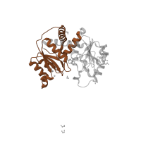 The deposited structure of PDB entry 4bjh contains 1 copy of Pfam domain PF02729 (Aspartate/ornithine carbamoyltransferase, carbamoyl-P binding domain) in Aspartate carbamoyltransferase catalytic subunit. Showing 1 copy in chain B.