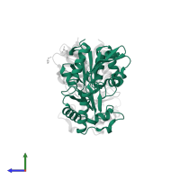 phosphomannomutase in PDB entry 4bnd, assembly 1, side view.