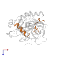 Thrombin light chain in PDB entry 4boh, assembly 1, top view.