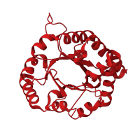 The deposited structure of PDB entry 4br1 contains 2 copies of CATH domain 3.20.20.70 (TIM Barrel) in Triosephosphate isomerase. Showing 1 copy in chain B.