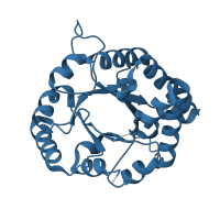 The deposited structure of PDB entry 4br1 contains 2 copies of Pfam domain PF00121 (Triosephosphate isomerase) in Triosephosphate isomerase. Showing 1 copy in chain B.