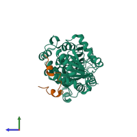 PDB entry 4bru coloured by chain, side view.