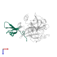 Factor X light chain in PDB entry 4btt, assembly 1, top view.