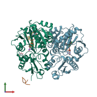 PDB entry 4c5a coloured by chain, front view.