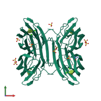 Homo tetrameric assembly 1 of PDB entry 4ce8 coloured by chemically distinct molecules, front view.