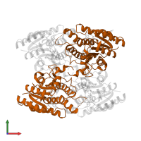 Pteridine reductase in PDB entry 4cmi, assembly 1, front view.