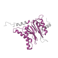The deposited structure of PDB entry 4cr3 contains 1 copy of Pfam domain PF00227 (Proteasome subunit) in Proteasome subunit alpha type-3. Showing 1 copy in chain J [auth C].