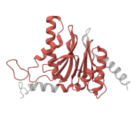 The deposited structure of PDB entry 4cr3 contains 1 copy of Pfam domain PF00227 (Proteasome subunit) in Proteasome subunit alpha type-5. Showing 1 copy in chain L [auth E].